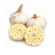 Fresh Garlic