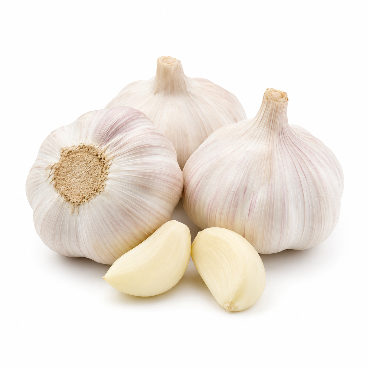 Fresh Garlic on white background