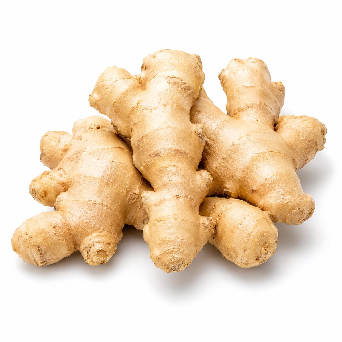Fresh Ginger Root on white background