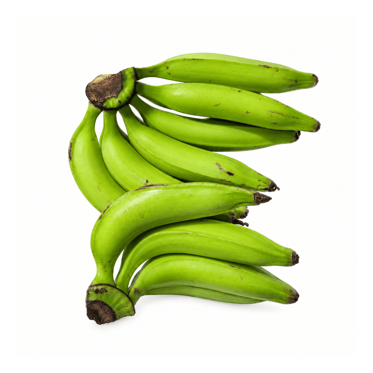 Fresh Green Plantains