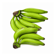 Fresh Green Plantains