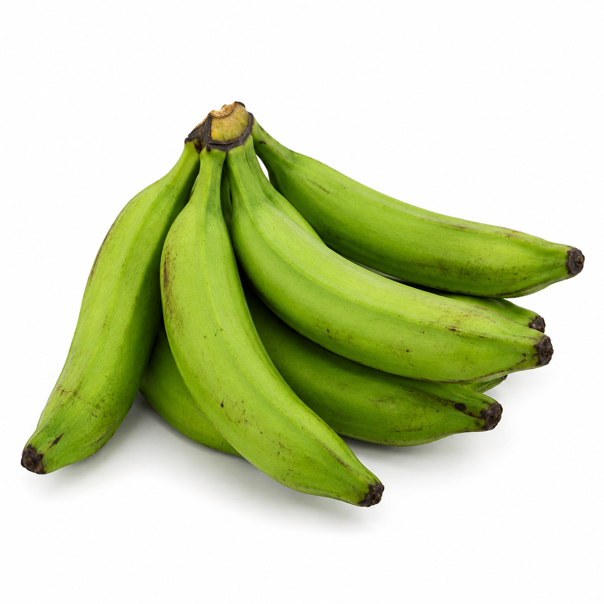 Fresh Green Plantains on white background