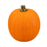 Fresh Halloween Pumpkin (7-8kg / pc)