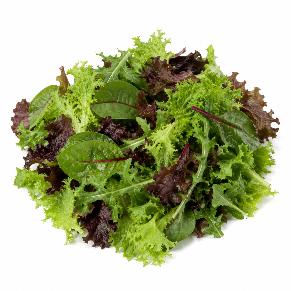 Fresh Healthy Salad Mix on white background