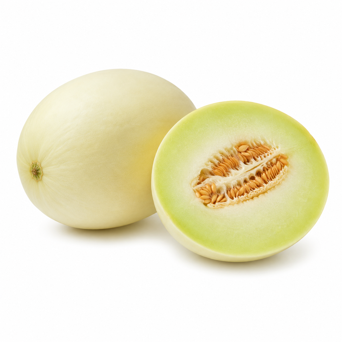 Fresh Honeydew Melon on white background
