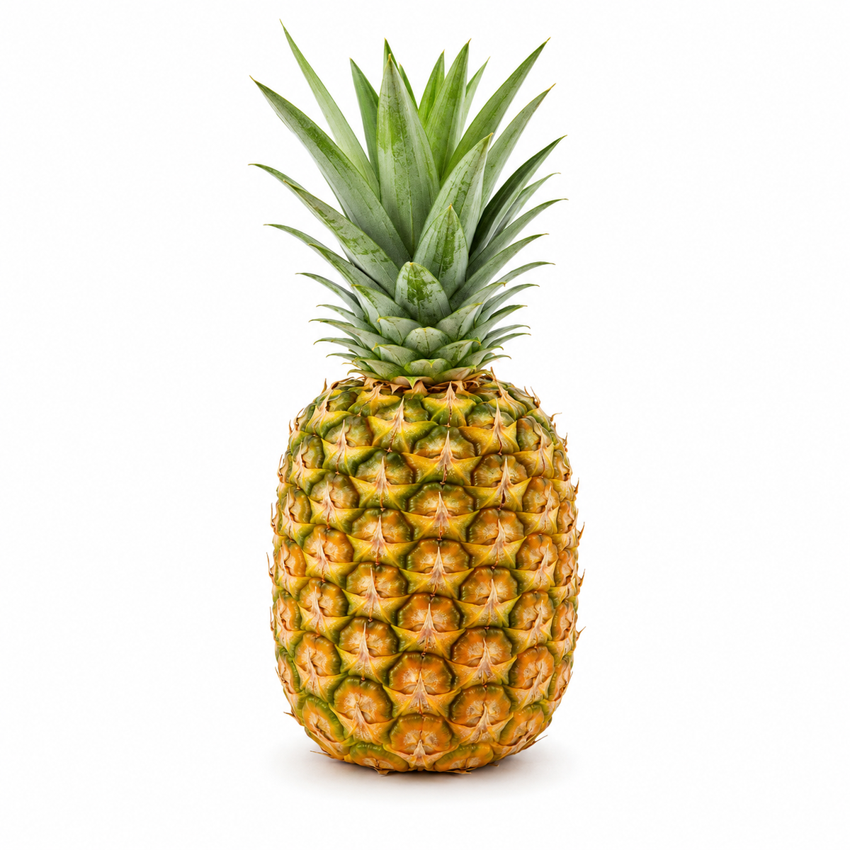 Fresh Honeyglow Pineapple on white background