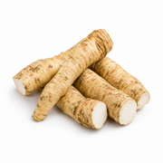 Fresh Horseradish Root on white background