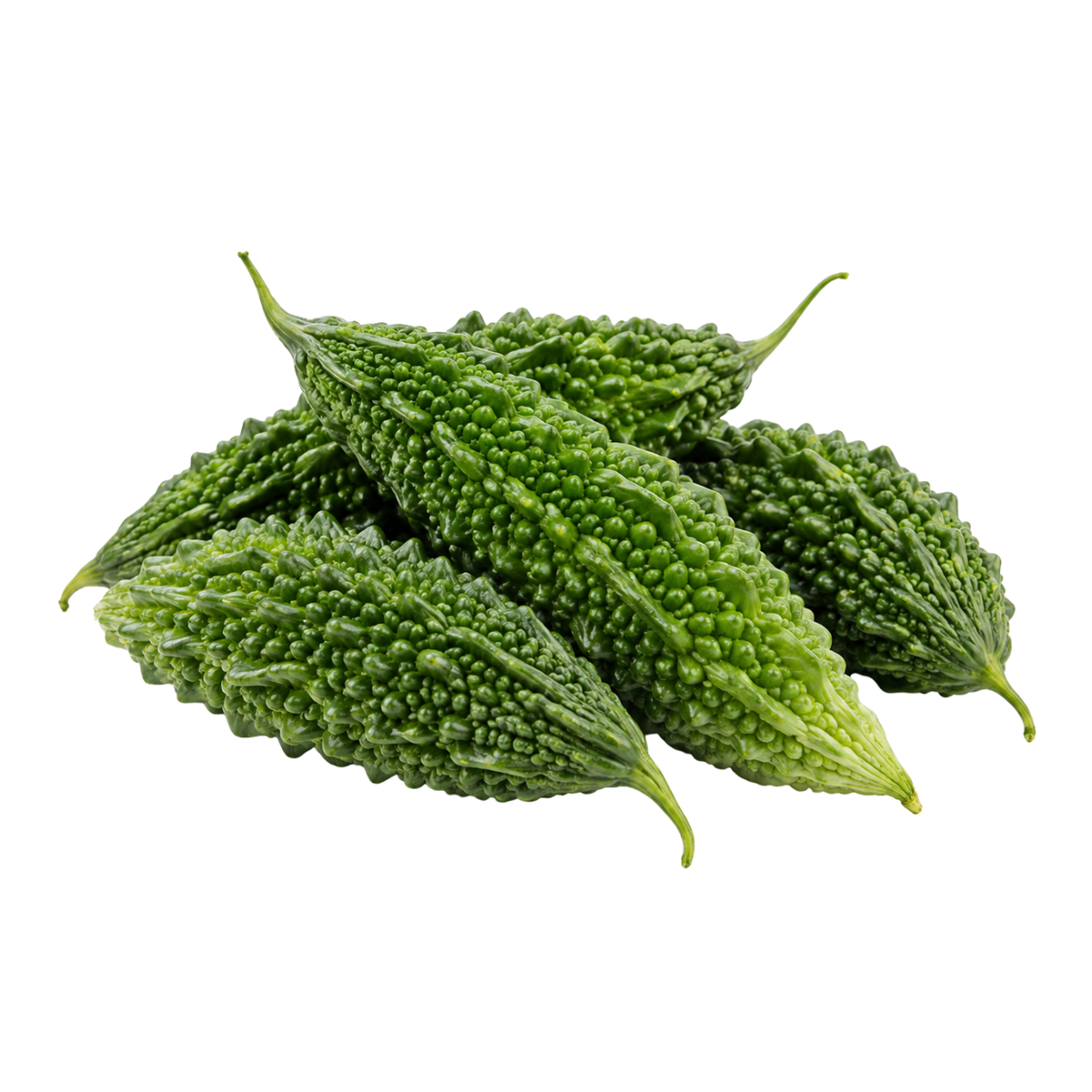 Fresh Indian Karela (450-500g)