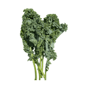 Fresh Kale