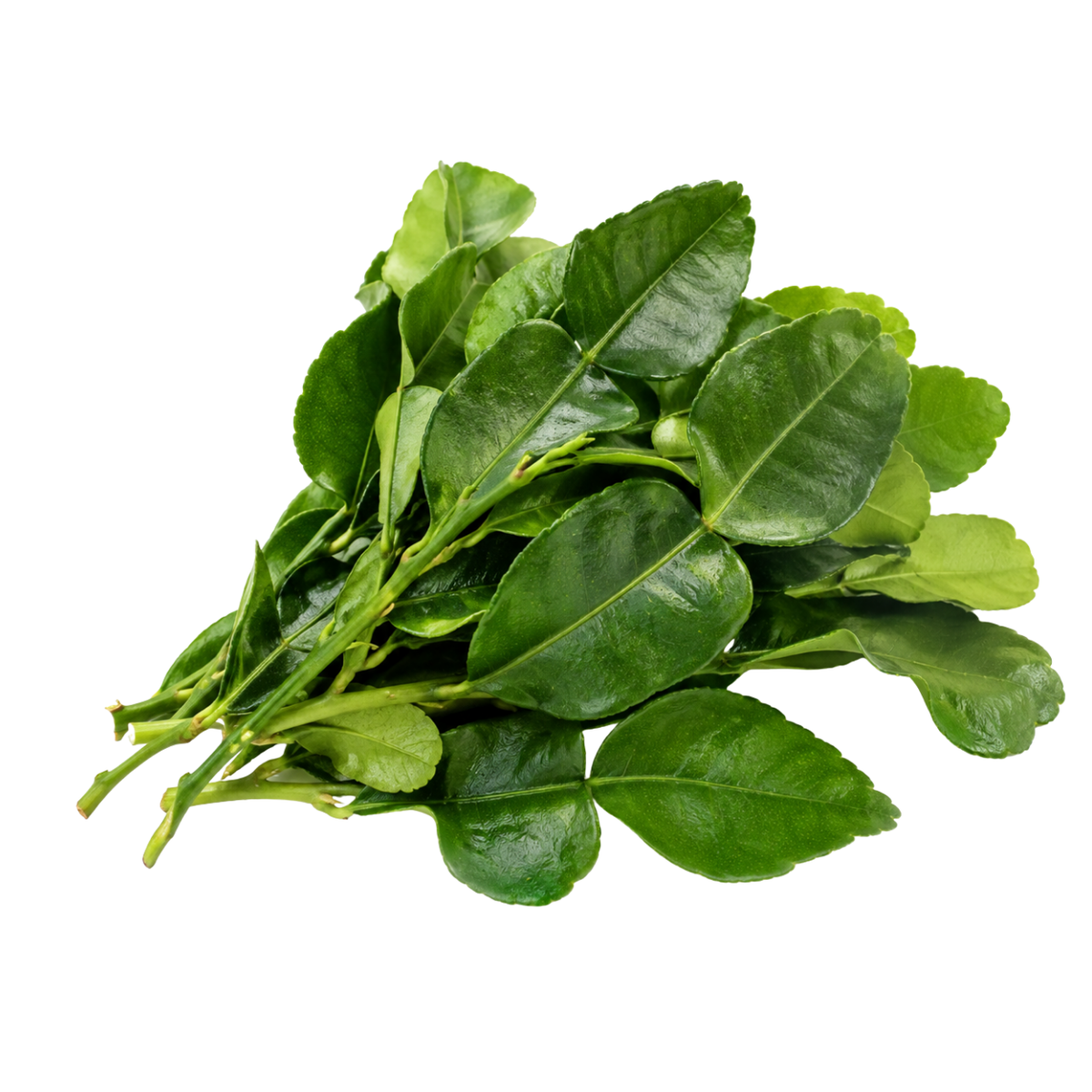 Fresh Lime Kaffir Leaves (250g)