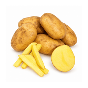 Fresh Local Agria Potatoes