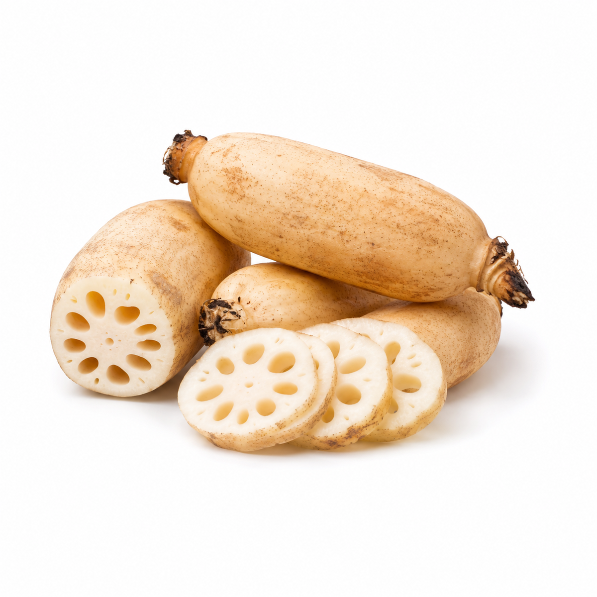 Fresh Lotus Root on white background