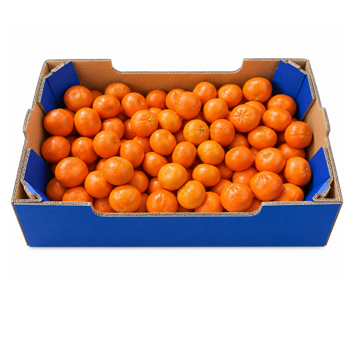 Fresh Mandarins Box