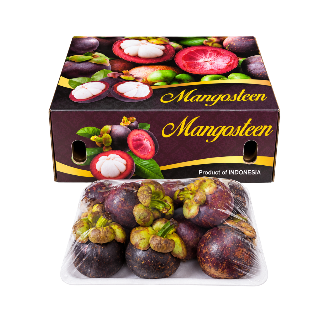 Fresh Mangosteen Box