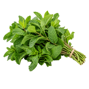 Fresh Mint Leaves (100g)