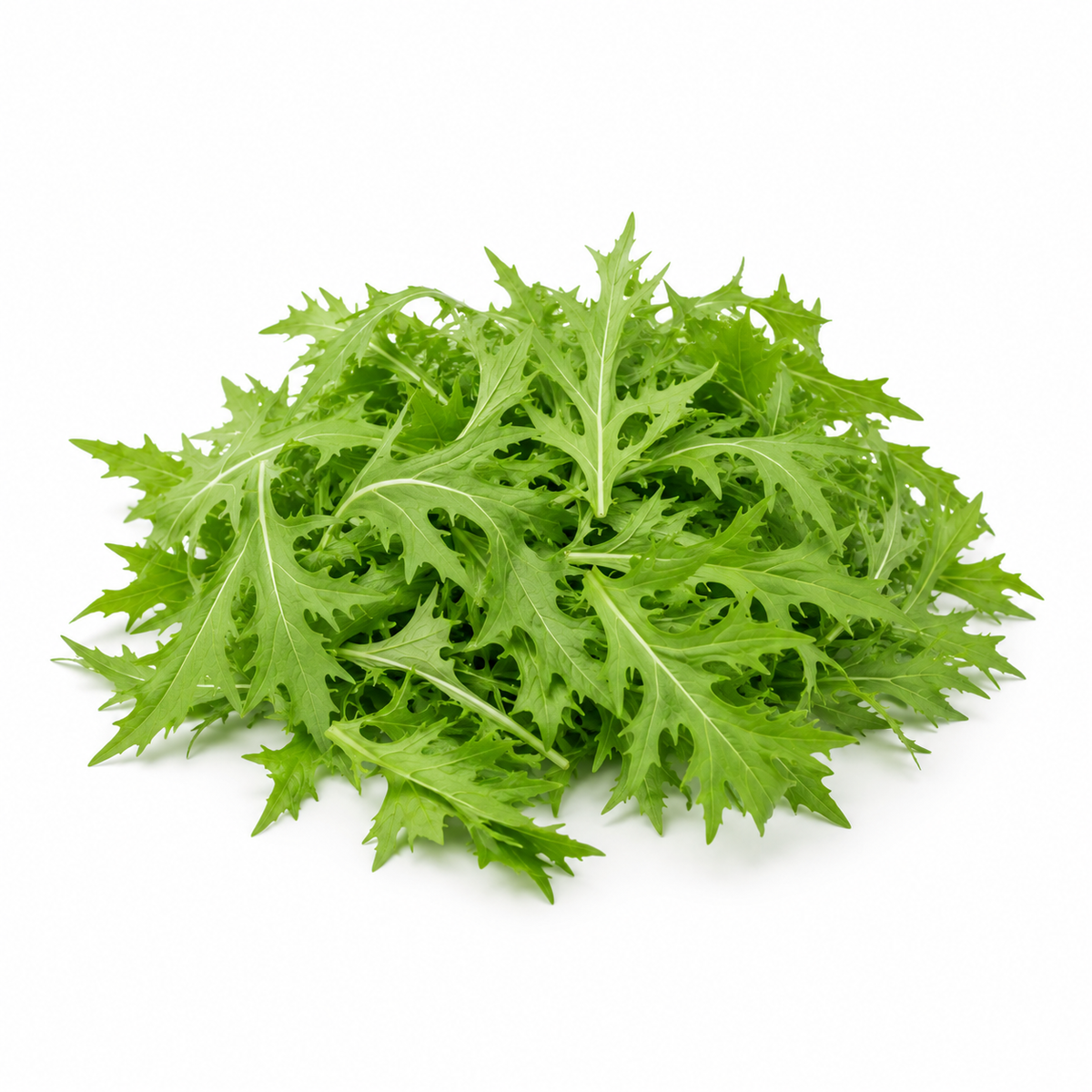 Fresh Mizuna Leaves on white background