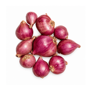 Fresh Onion Shallot