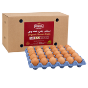 Fresh Organic Egg Box (12x30pcs)