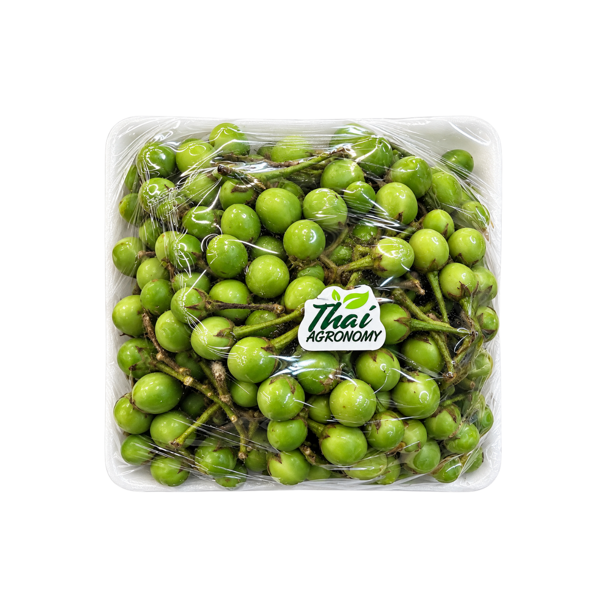 Fresh Pea eggplant (500g / pack)