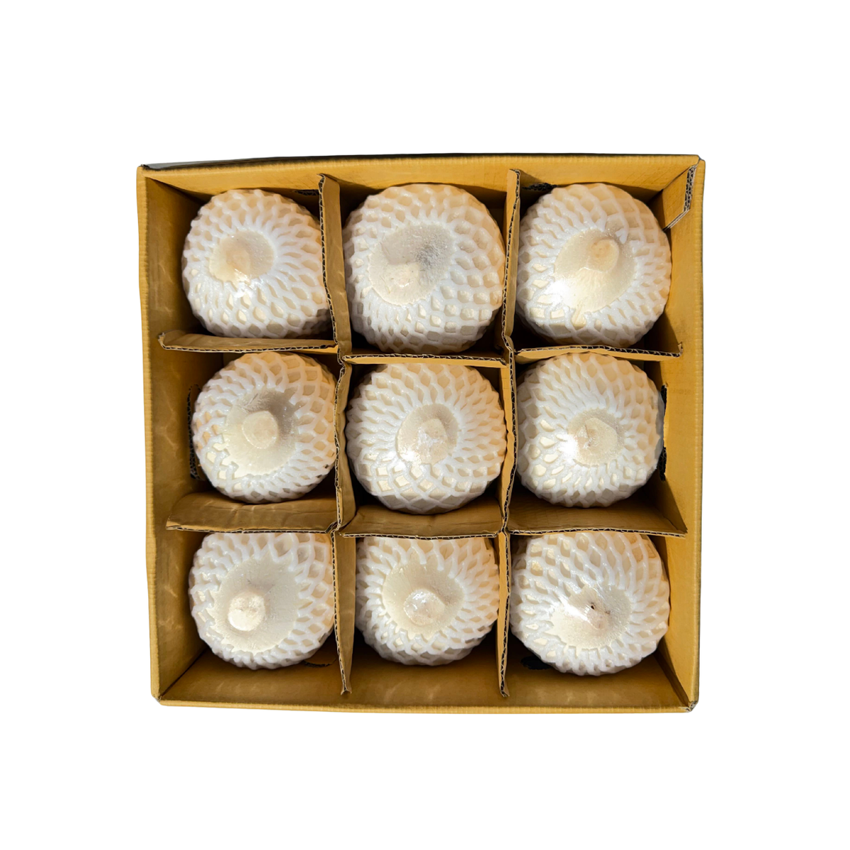 Fresh Peeled Young Coconut 9pcs Box