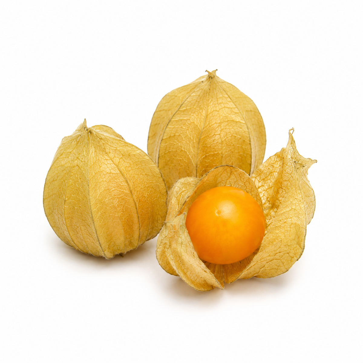 Fresh Physalis on white background