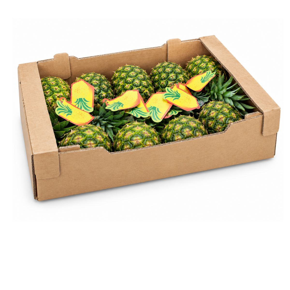 Fresh Pineapple Box