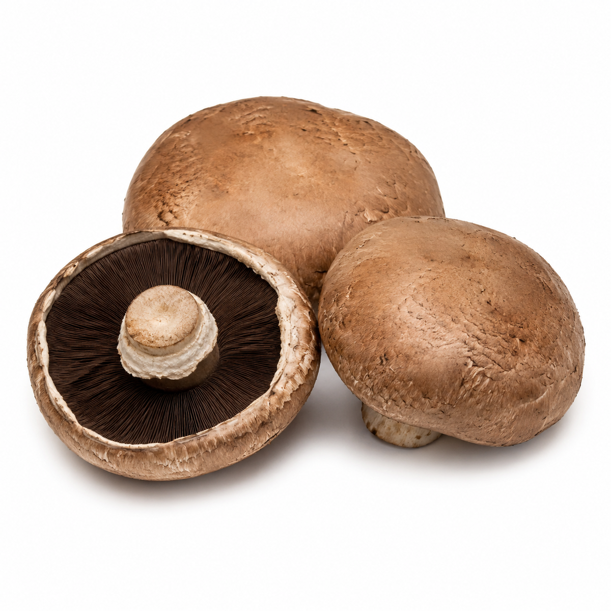 Fresh Portobello Mushrooms on white background