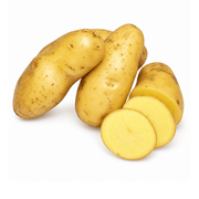 Fresh Potatoes
