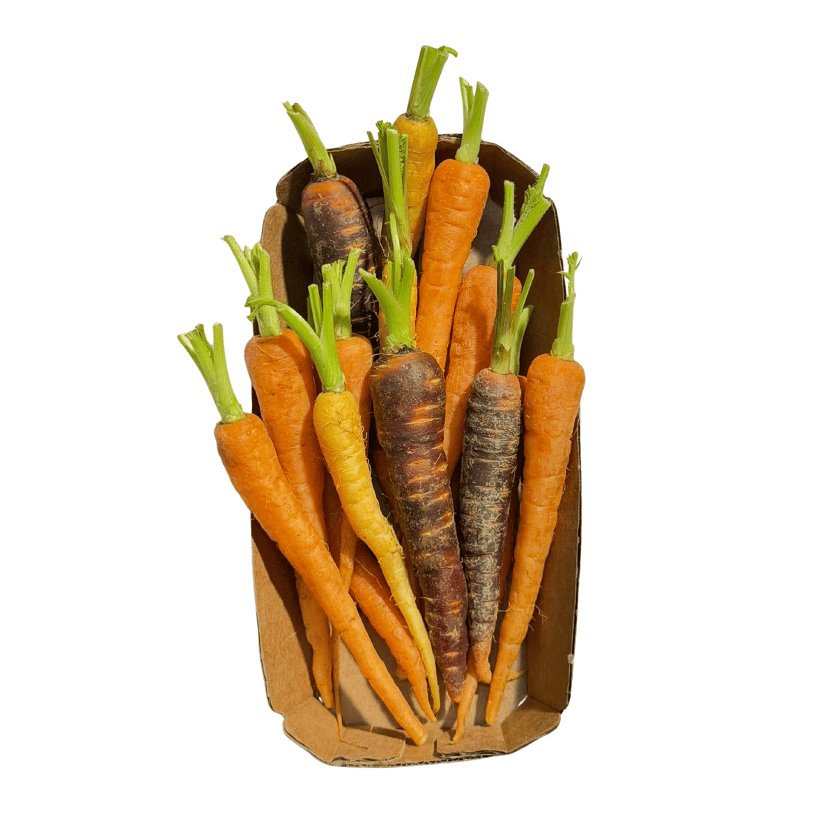 Fresh Rainbow Baby Carrots