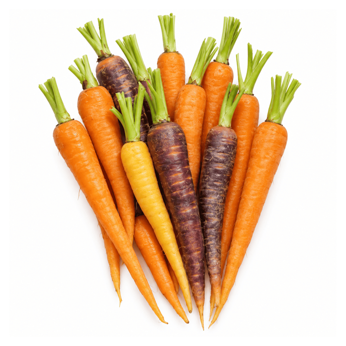 Fresh Rainbow Baby Carrots