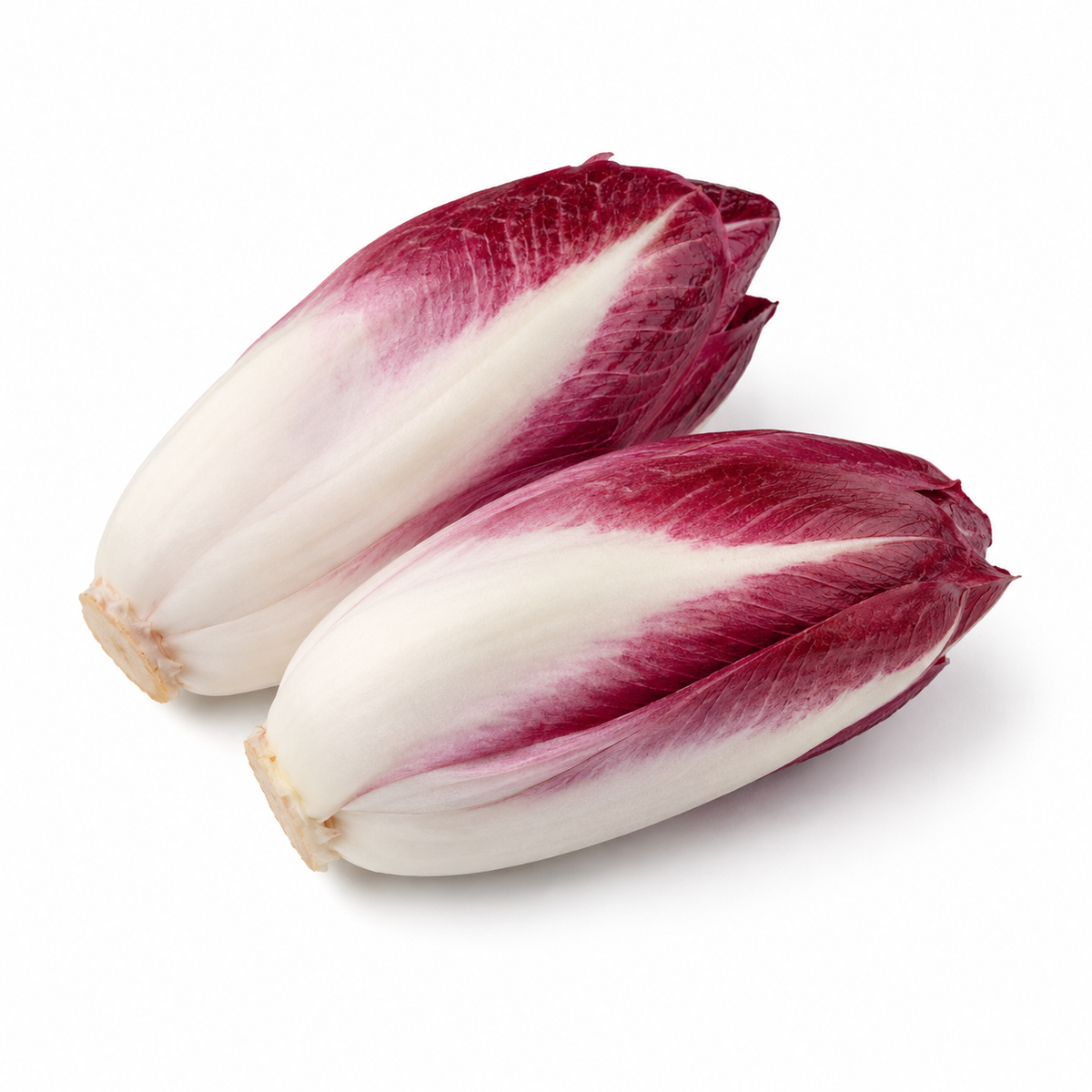 Fresh Red Endive on white background