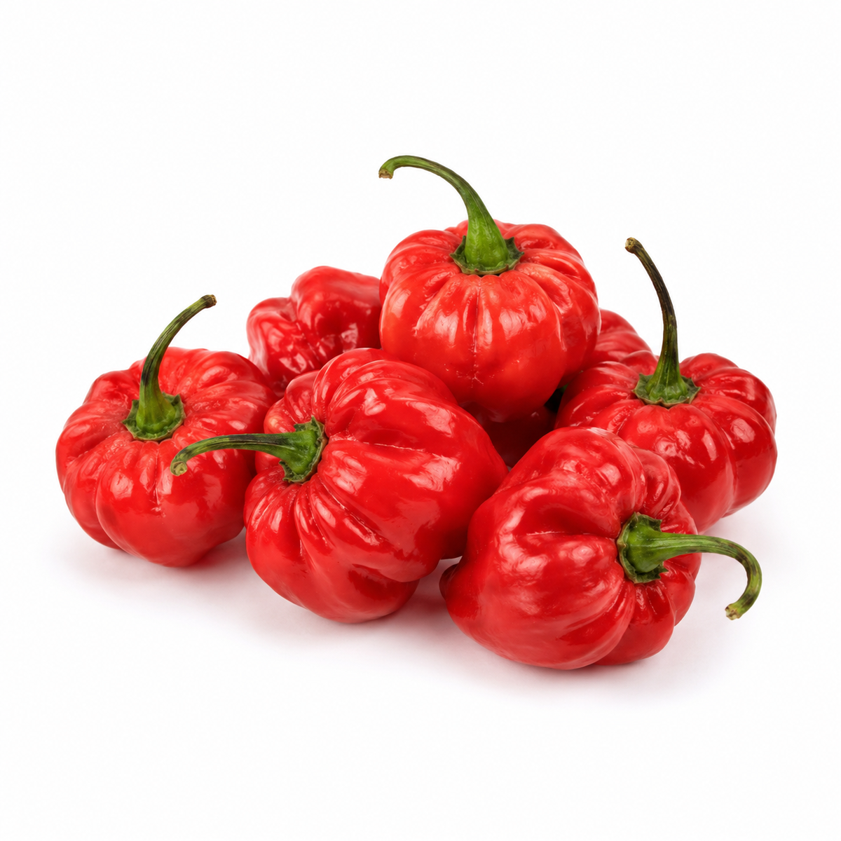 Fresh Red Habanero Chillies on white background
