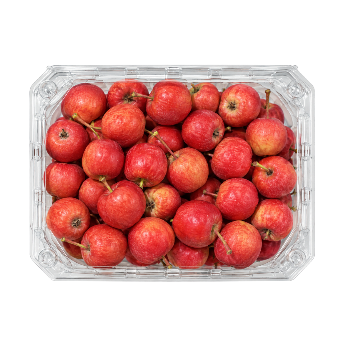 Fresh Red Zaarour (500g)