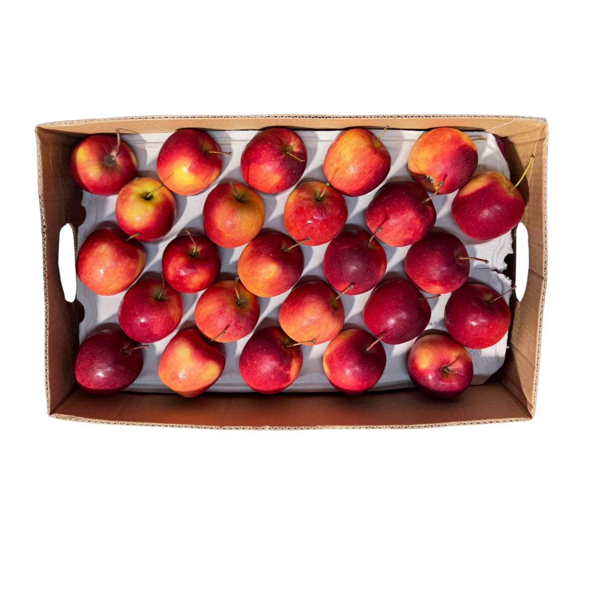Fresh Royal Gala Apples Box