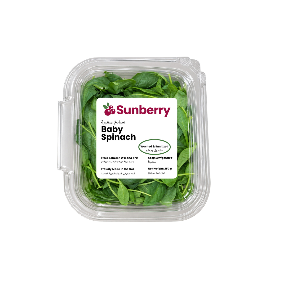 Fresh Sanitized Baby Spinach