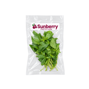 Fresh Sanitized Basil Leaves