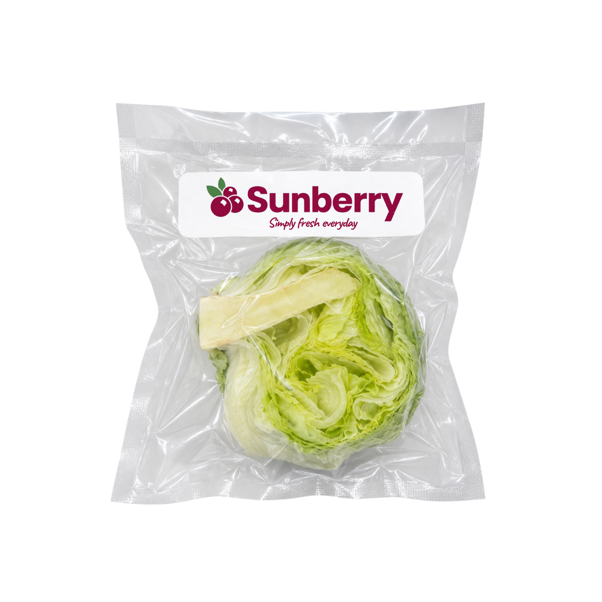 Fresh Sanitized Iceberg Lettuce