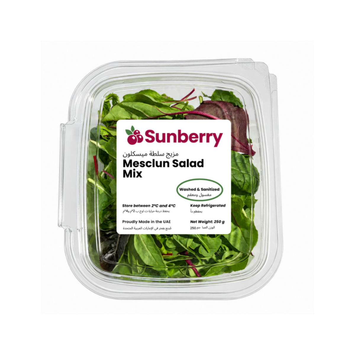 Fresh Sanitized Mesclun Salad Mix