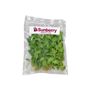 Fresh Sanitized Mint