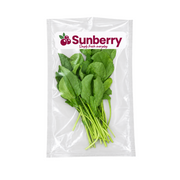 Fresh Sanitized Rocket Leaves