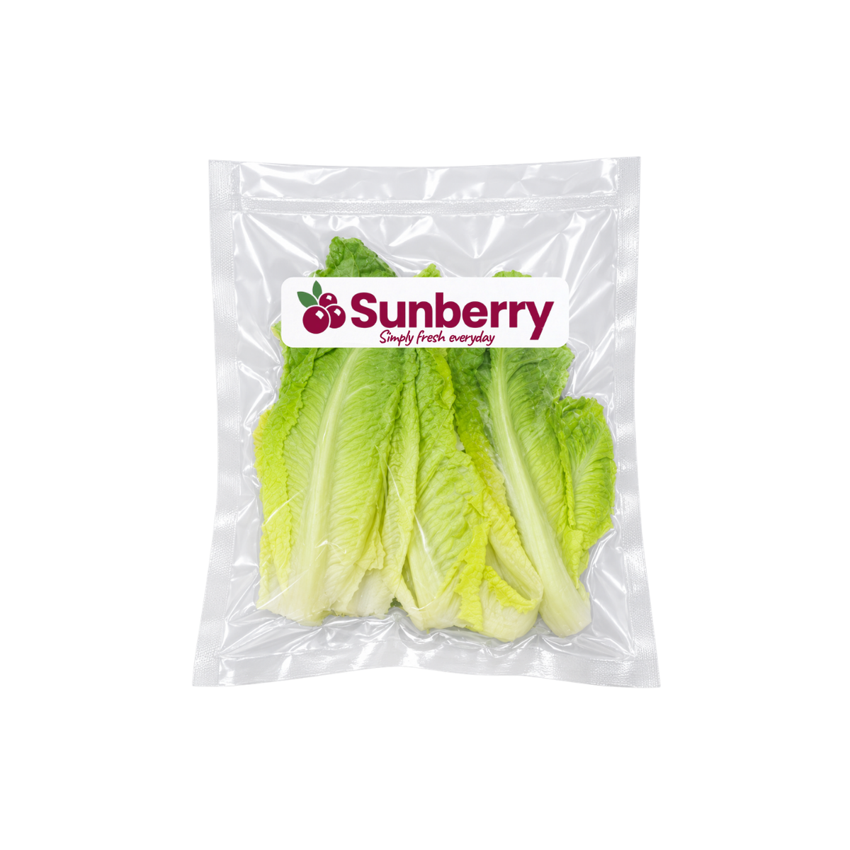 Fresh Sanitized Romaine Lettuce