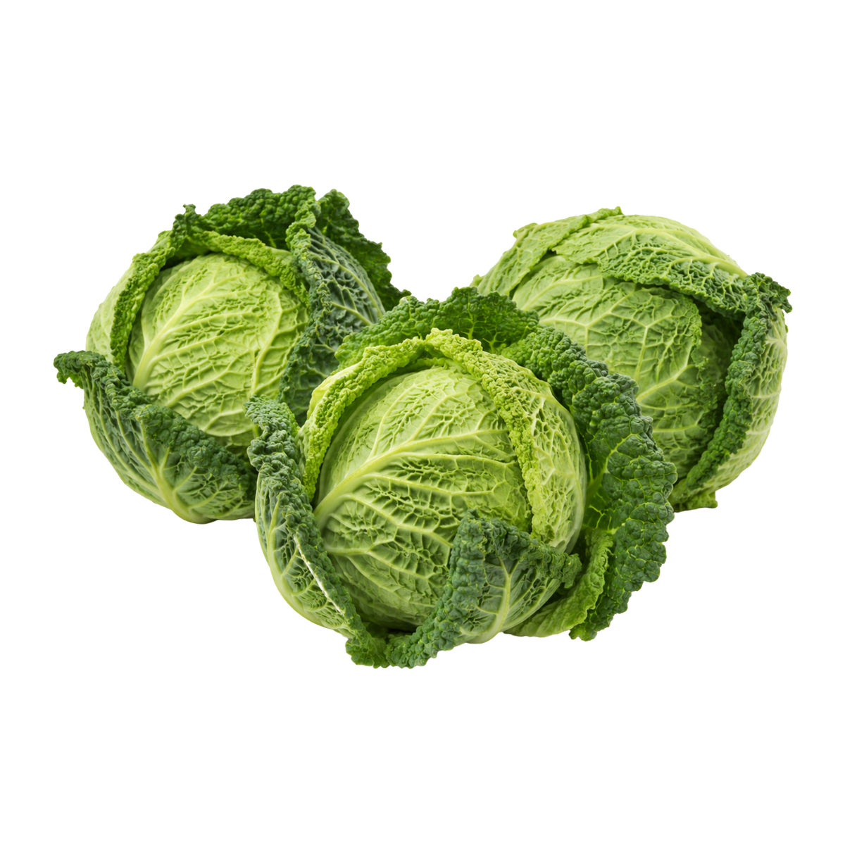 Fresh Savoy Cabbage (750g-1kg)