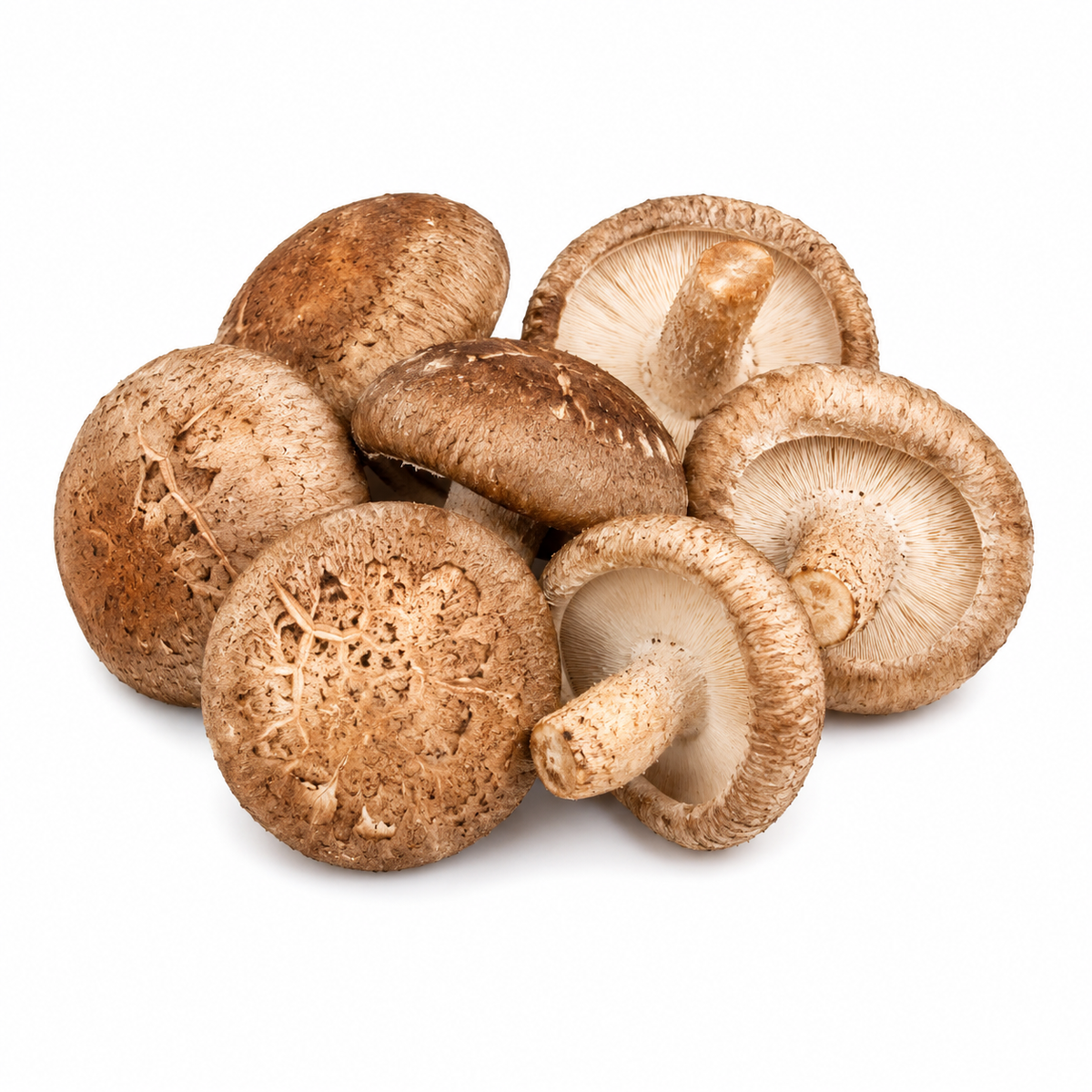 Fresh Shiitake Mushrooms on white background