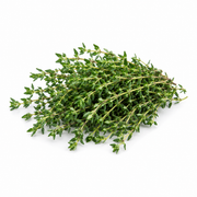 Fresh Thyme on white background