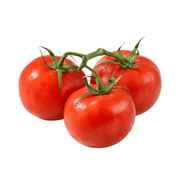 Fresh Tomatoes in the Vine