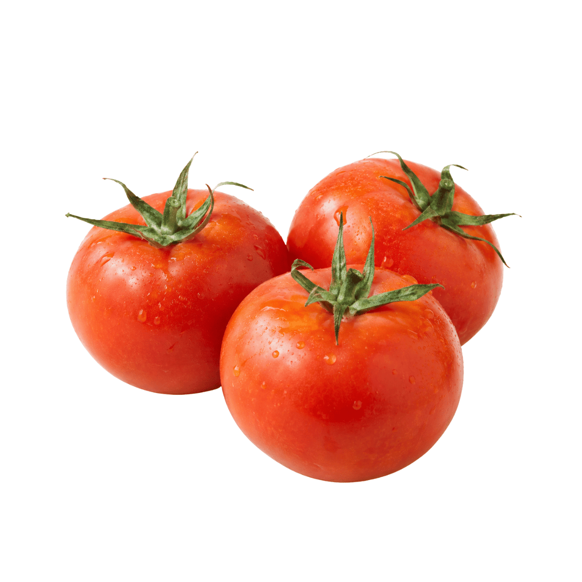 Fresh Tomatoes