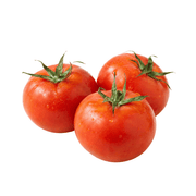 Fresh Tomatoes