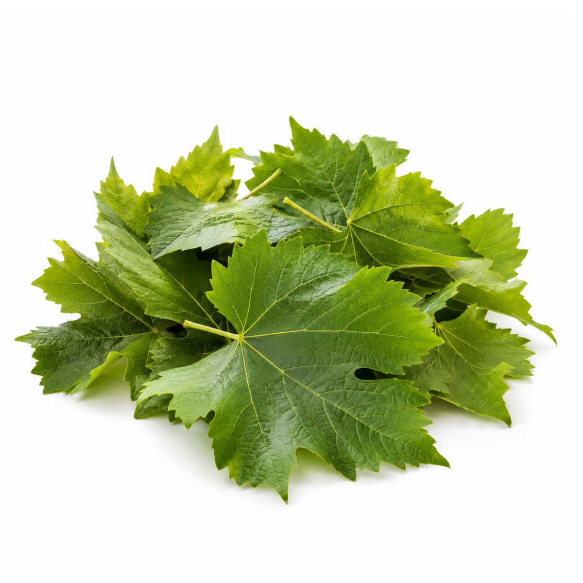 Fresh Vine Leaves (150-200g / pack)