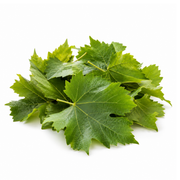 Fresh Vine Leaves (150-200g / pack)