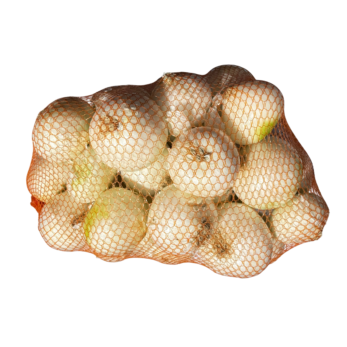 Fresh White Onions Bag